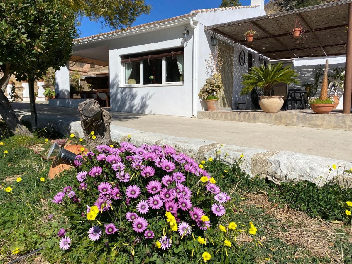 Casa El Saladillo Villa Valle de Abdalagis Exterior photo